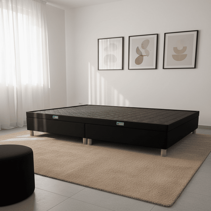 BASECAMA CON BAUL-DEPOSITO